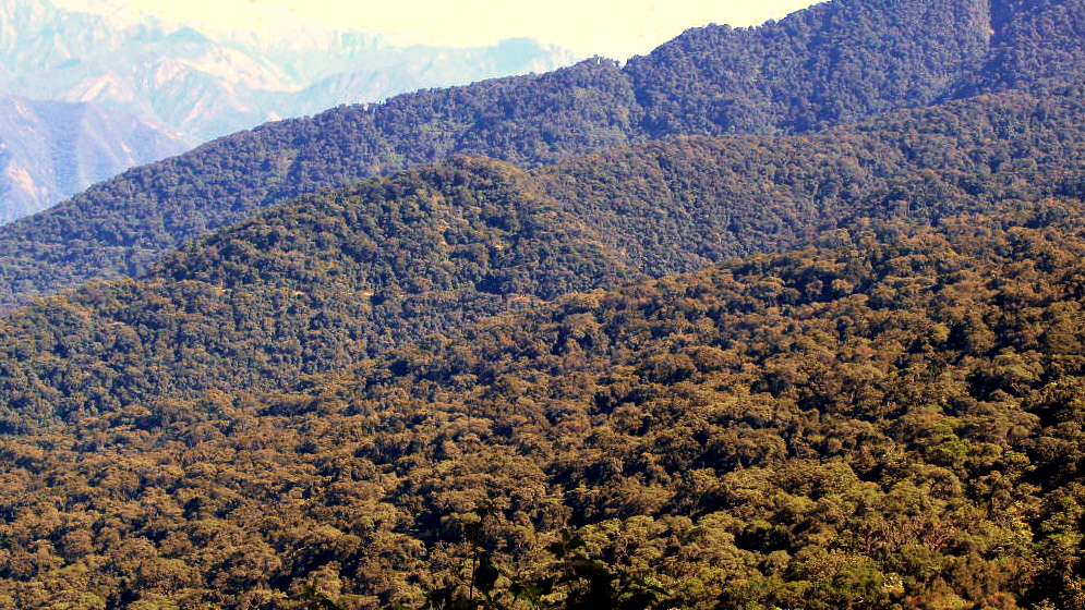 panoramica-yungas-australes